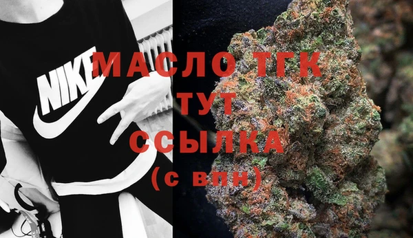 сатива Арсеньев