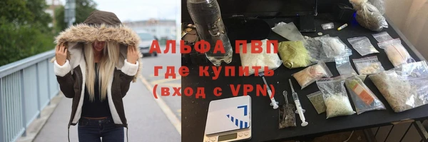 сатива Арсеньев