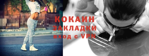 ГАЛЛЮЦИНОГЕННЫЕ ГРИБЫ Аркадак