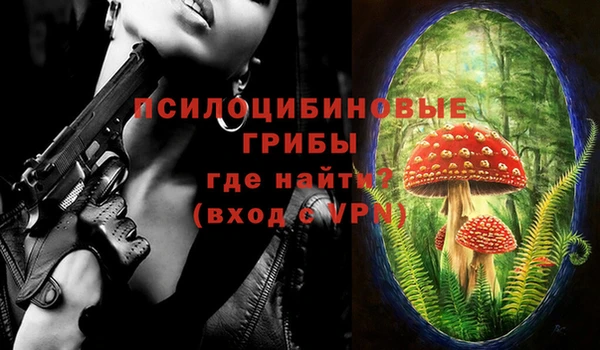 сатива Арсеньев