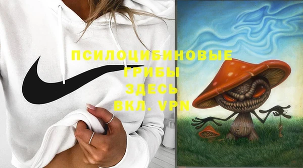 ГАЛЛЮЦИНОГЕННЫЕ ГРИБЫ Аркадак